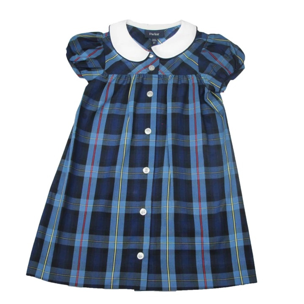 Parker Plaid Button Down Dress
